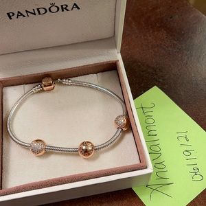 Pandora Moments Snake Chain Bracelet